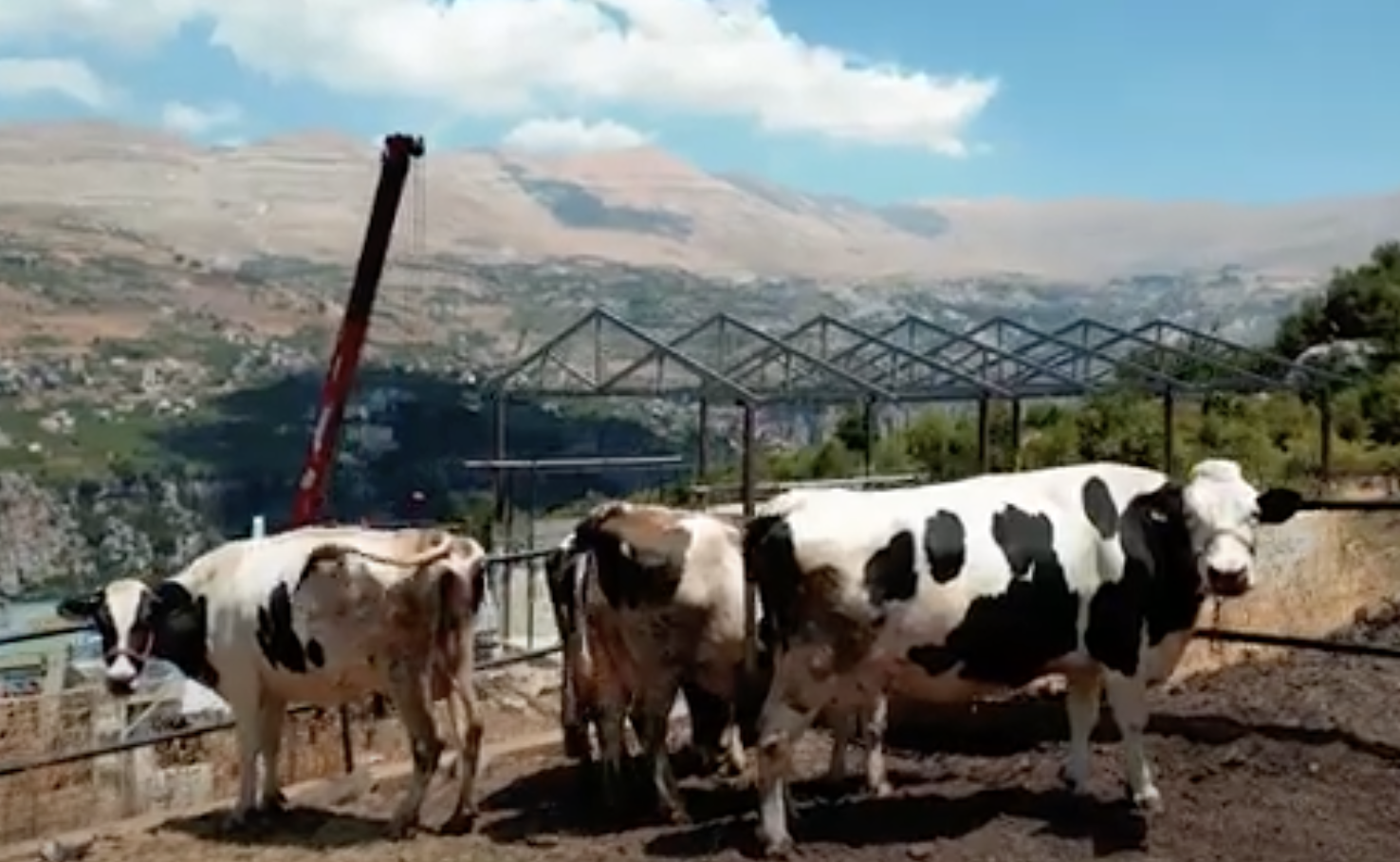  Livestock Sustainability
