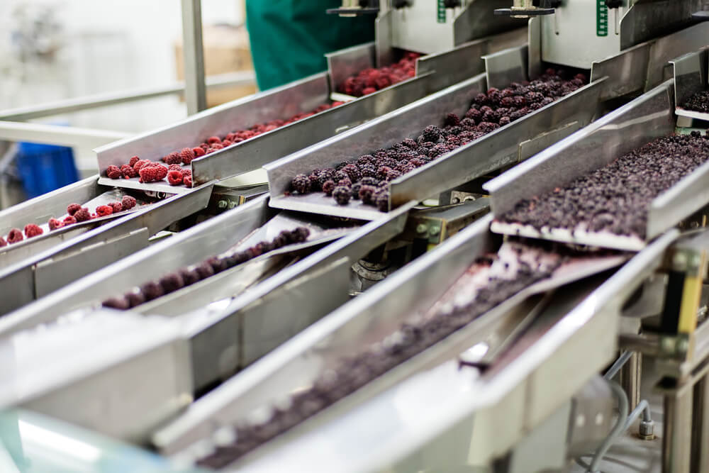 Equipment for Mouneh Production
