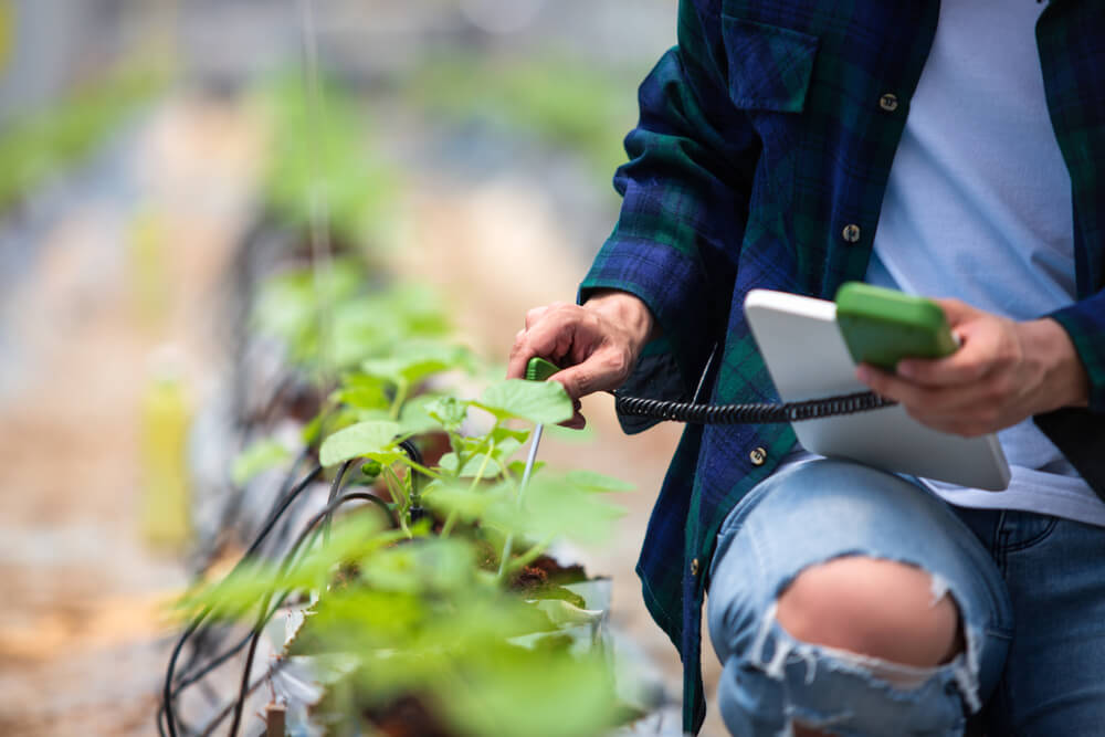 Encourage Agripreneurship in Six Schools