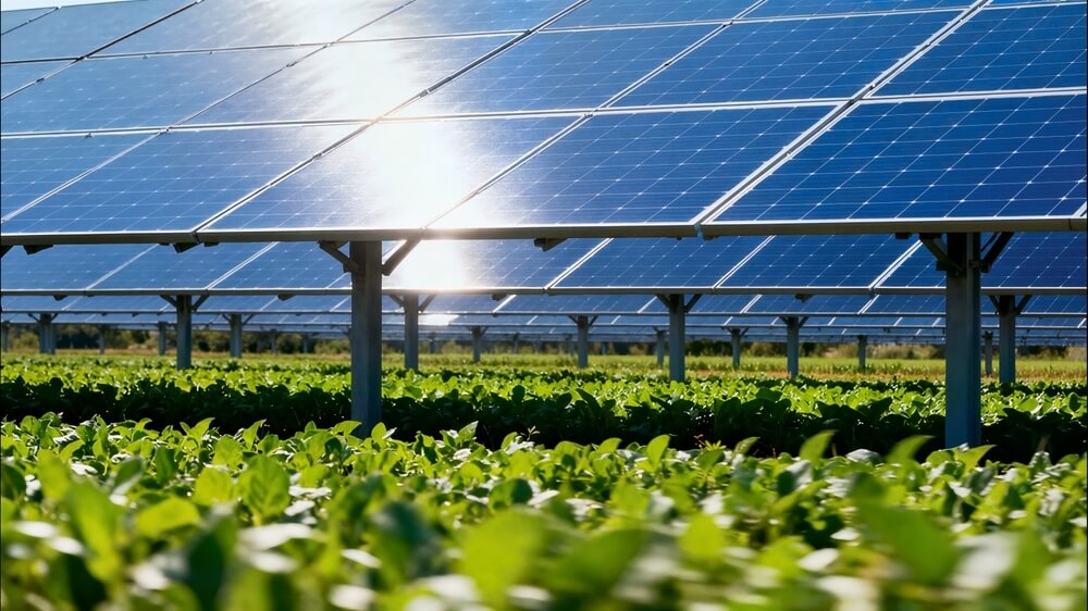 Install Solar Energy Pumping Station