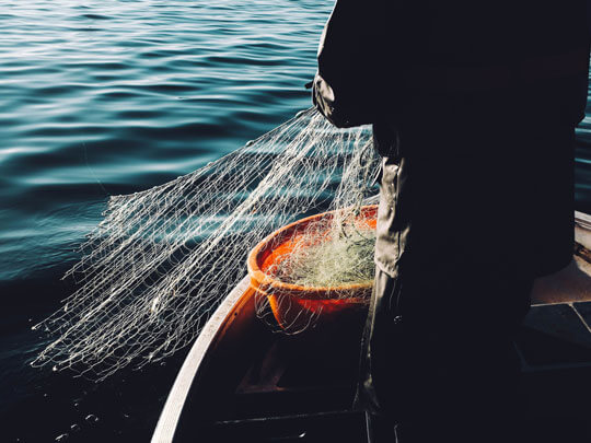 Sustainable Fishing