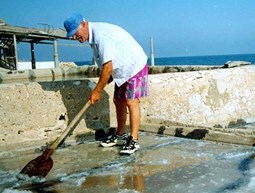 Rehabilitation of Salt Marshes in Enfeh
