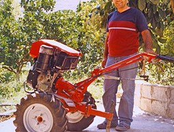 Asset Building for Small Lebanese Farmers 