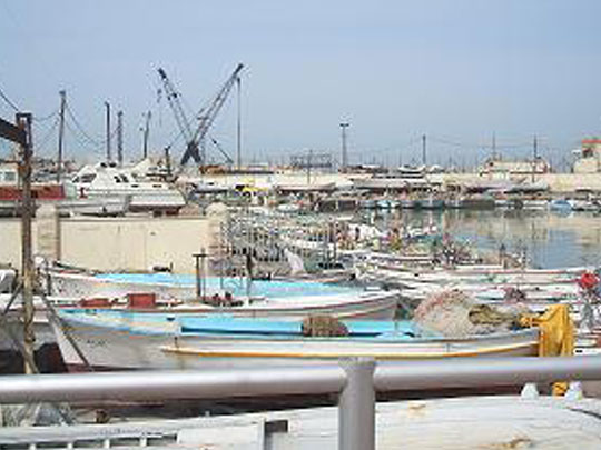 Purchase of fish nets to fishermen in Saida