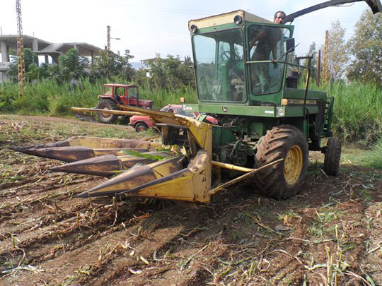 Purchase Corn Harvester