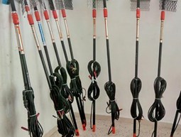 Purchase 13 Olive Harvesters 