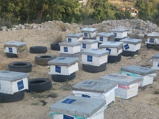 Equipment for Beekeeping 