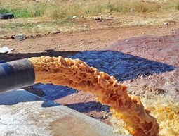 Installing drip irrigation pipes in Anjar (phase 2)