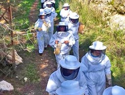 Tanin el Nahel beekeeping