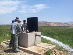 Drip irrigation in Dardara