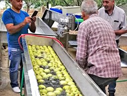 Apple Chips, Juice & Mouneh Production in Bazoun