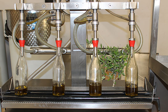 Virgin Olive Oil Bottling in Zawtar