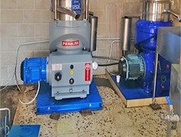 Improving Olive Oil Extraction in Ebel Essaqi