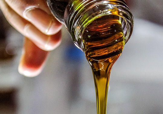Harvesting and Labeling Equipment for Organic Olive Oil Production