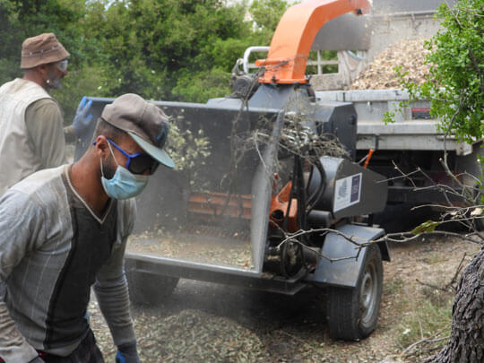 Shredders for Tree Pruning