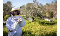 Akkar Beekeepers Union