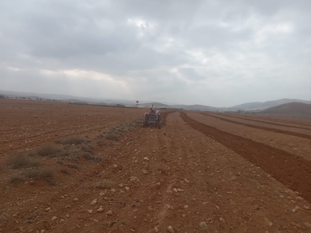 Distribution of Wheat and Chickpea Seeds for Cultivation