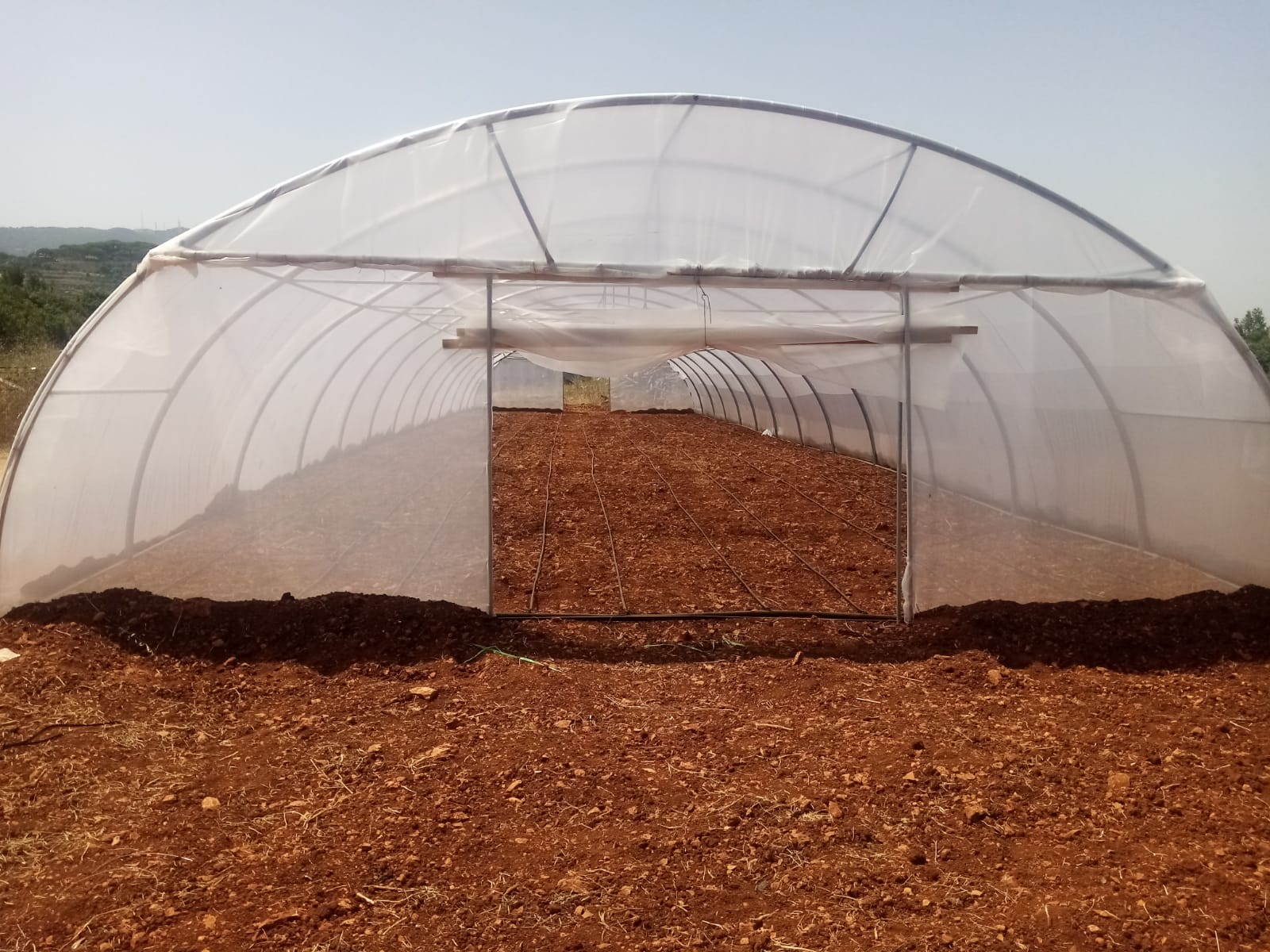 Build Greenhouses for Vegetable Cultivation