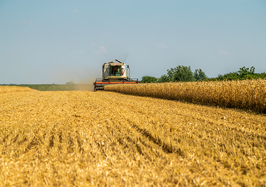 Harvesting and Threshing Equipment
