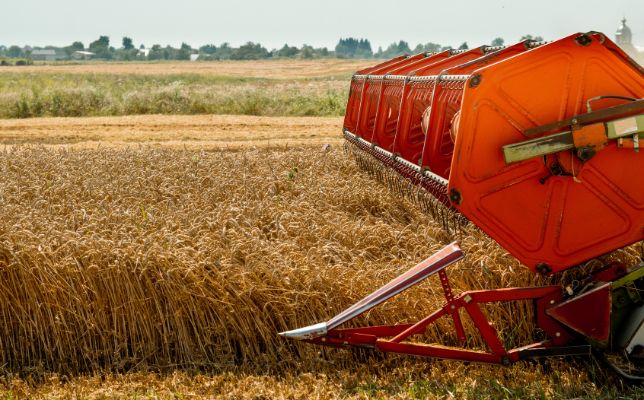 Tractor and 2nd Grains Distribution