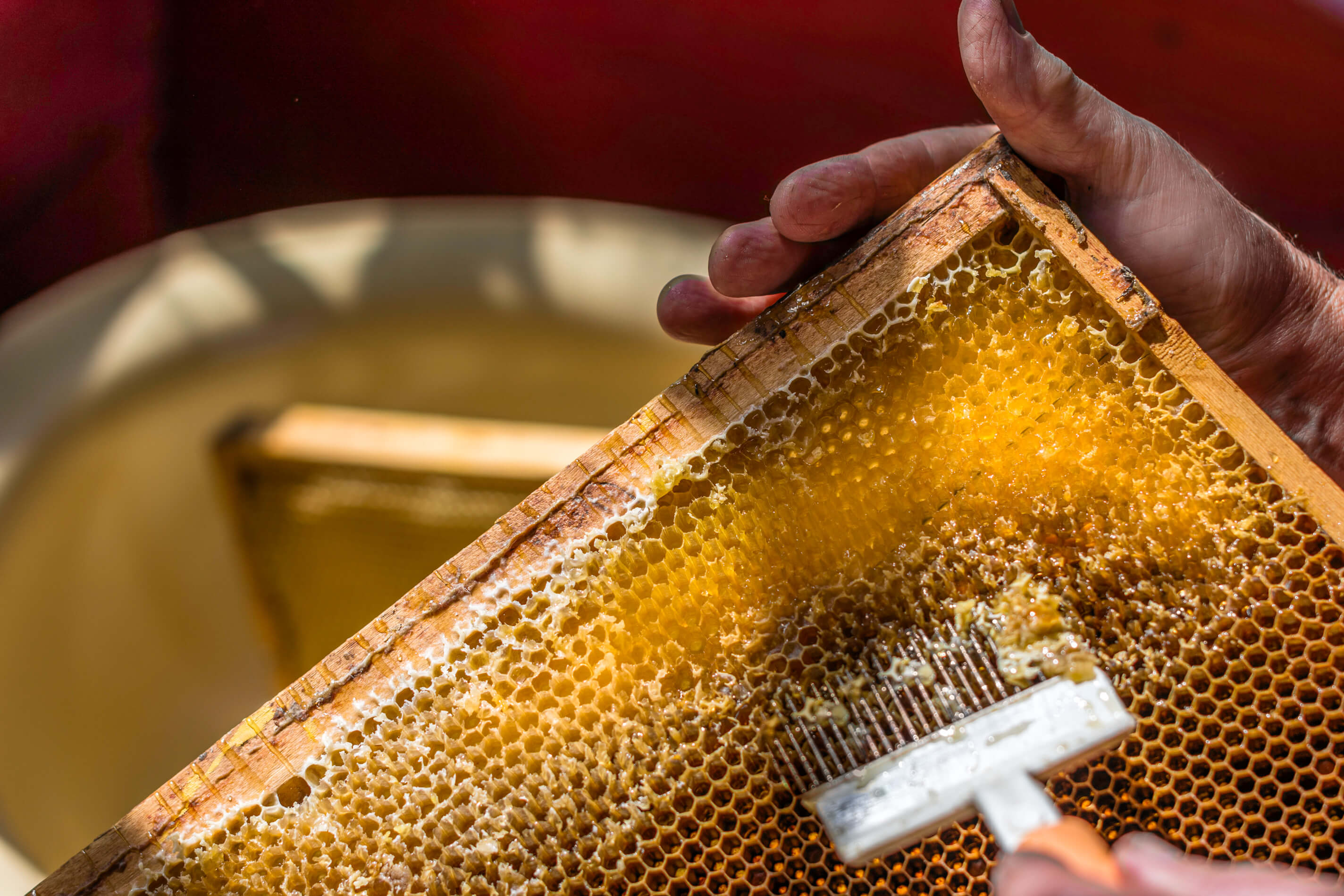 Boost Honey Production